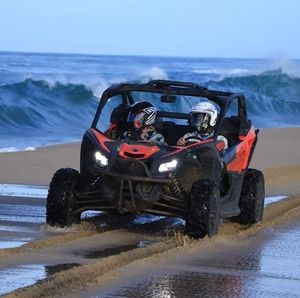 Meet your Posher, Brigitte